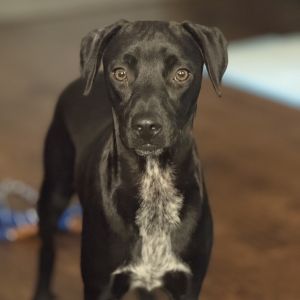 Matilda