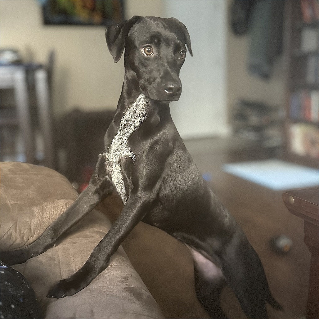 Matilda