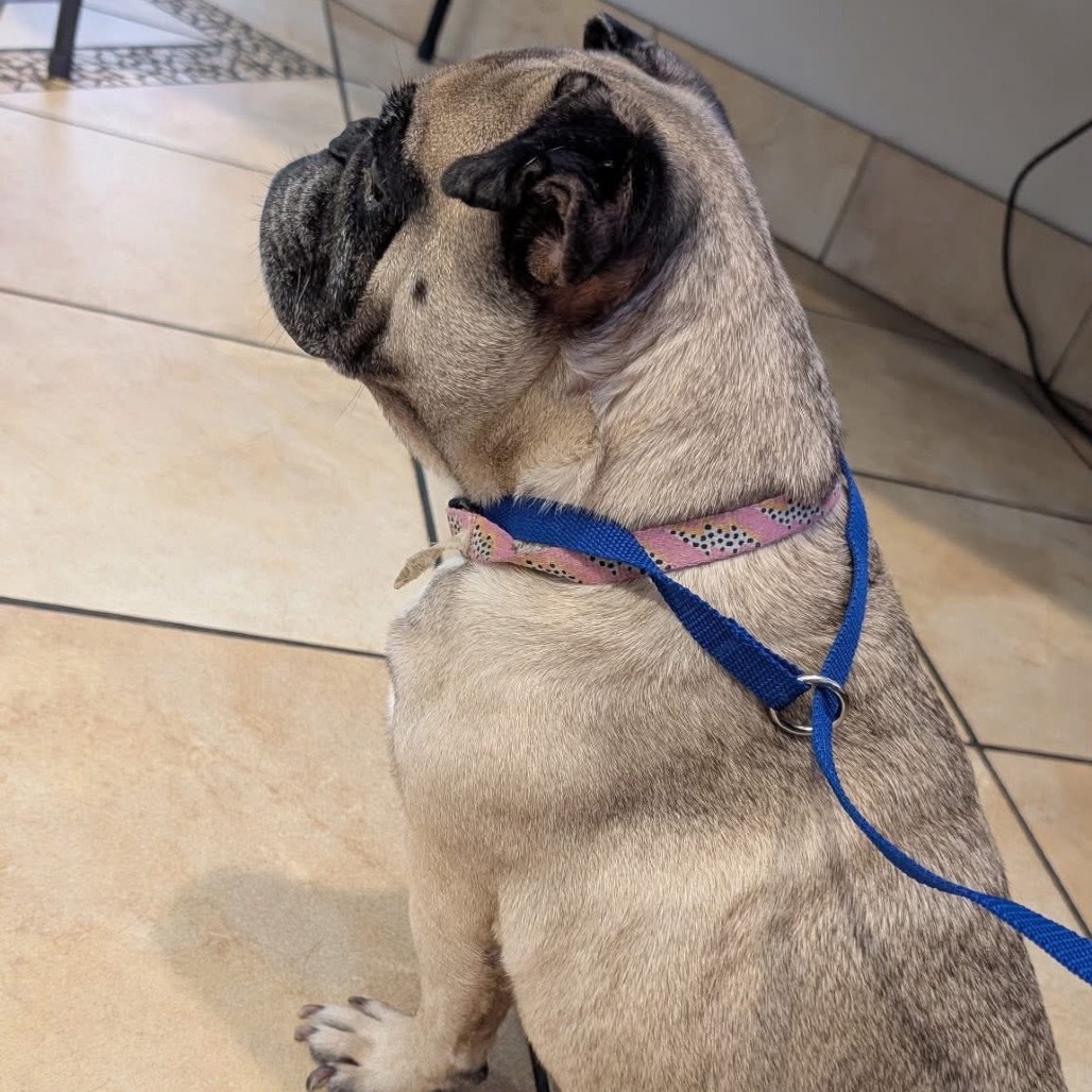 Baroness Beatrice Von Smooshface