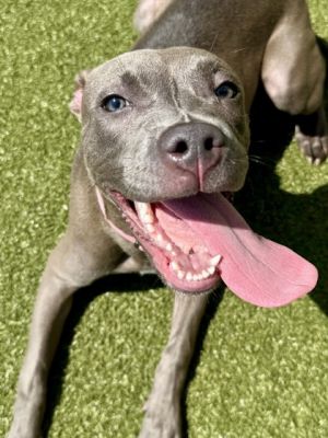 Barkerella