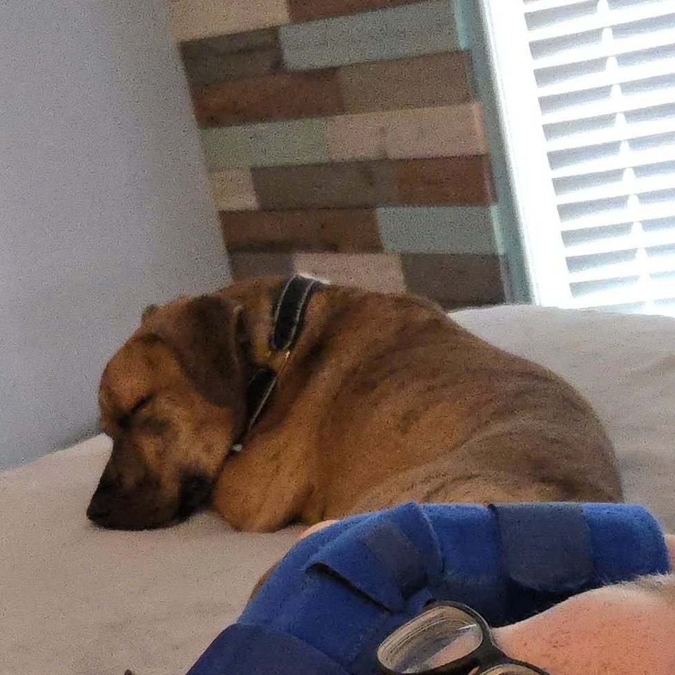 Titus