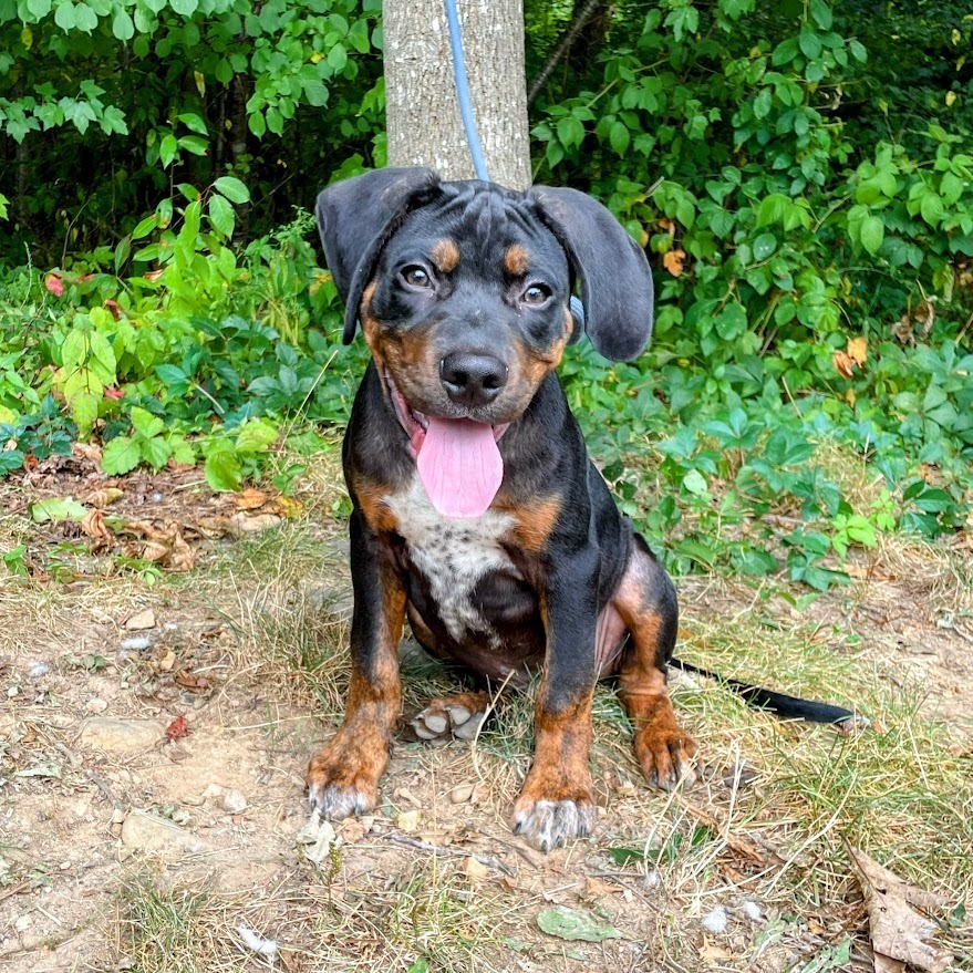 Ralph