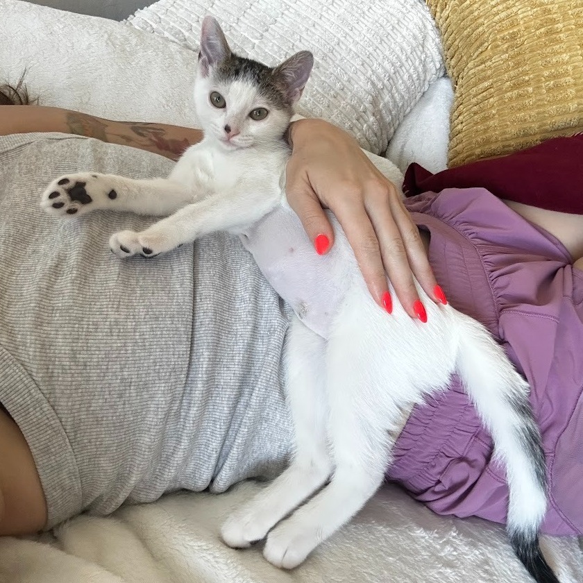 Black Beans