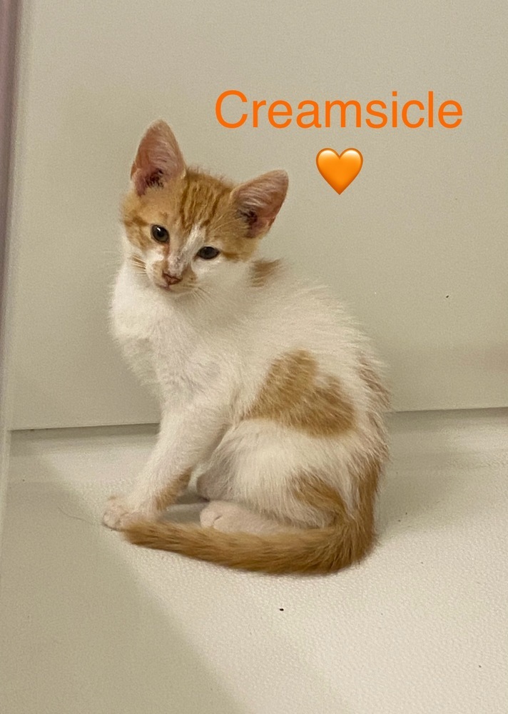 Creamsicle