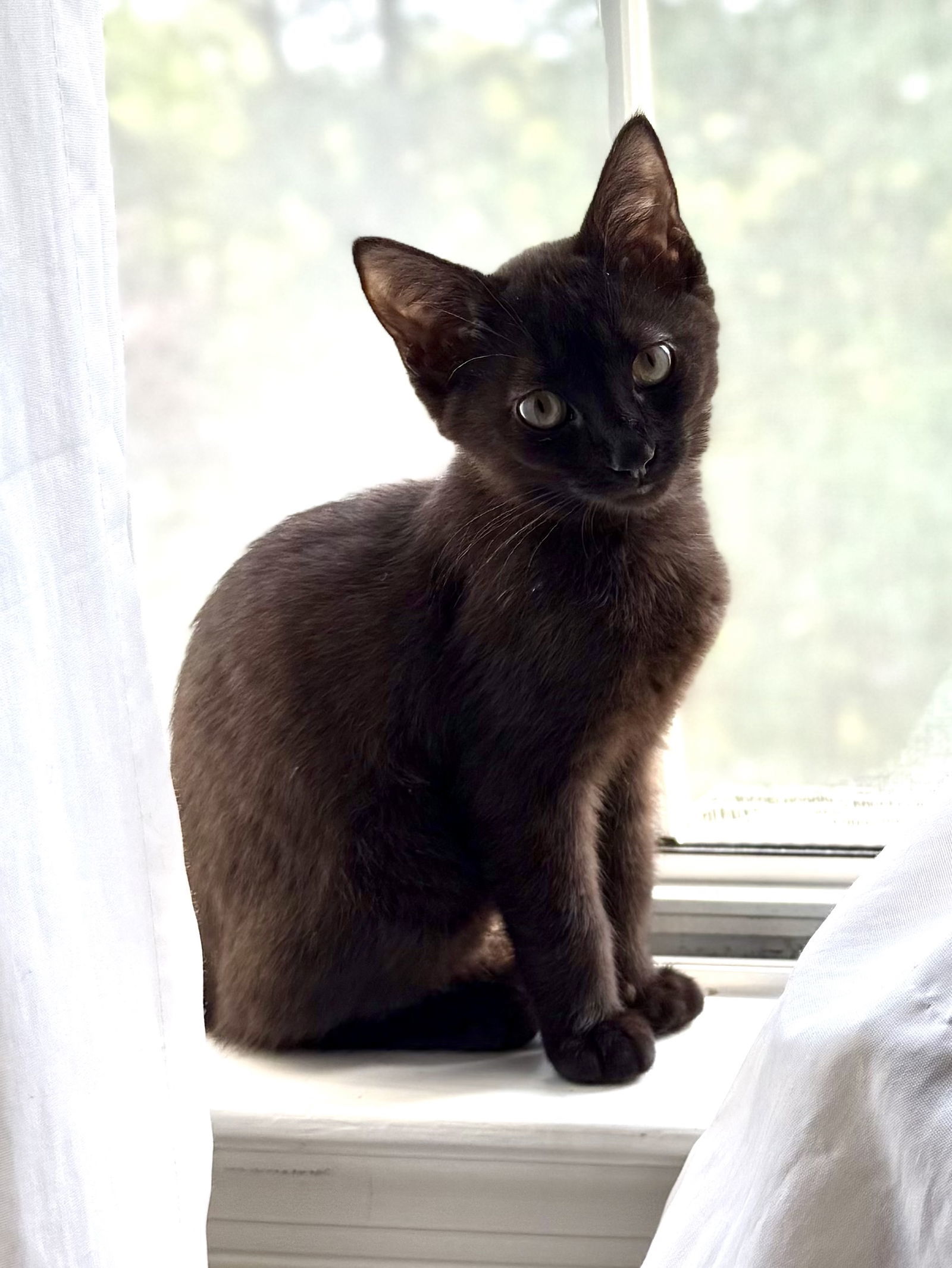 Onyx