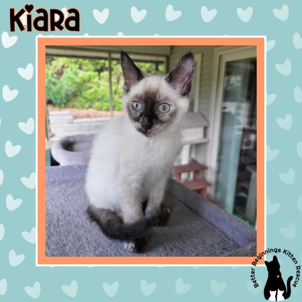 Kiara