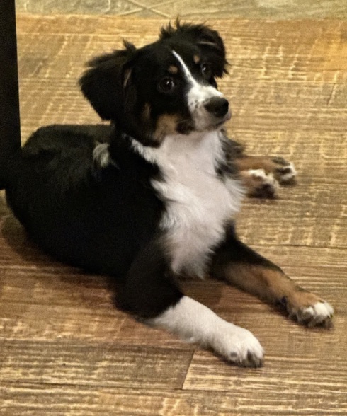 Rosie
