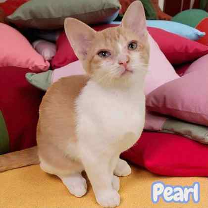 Pearl