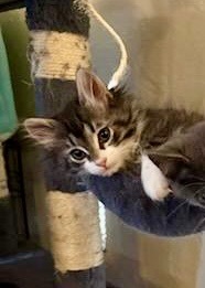 Sebastian
