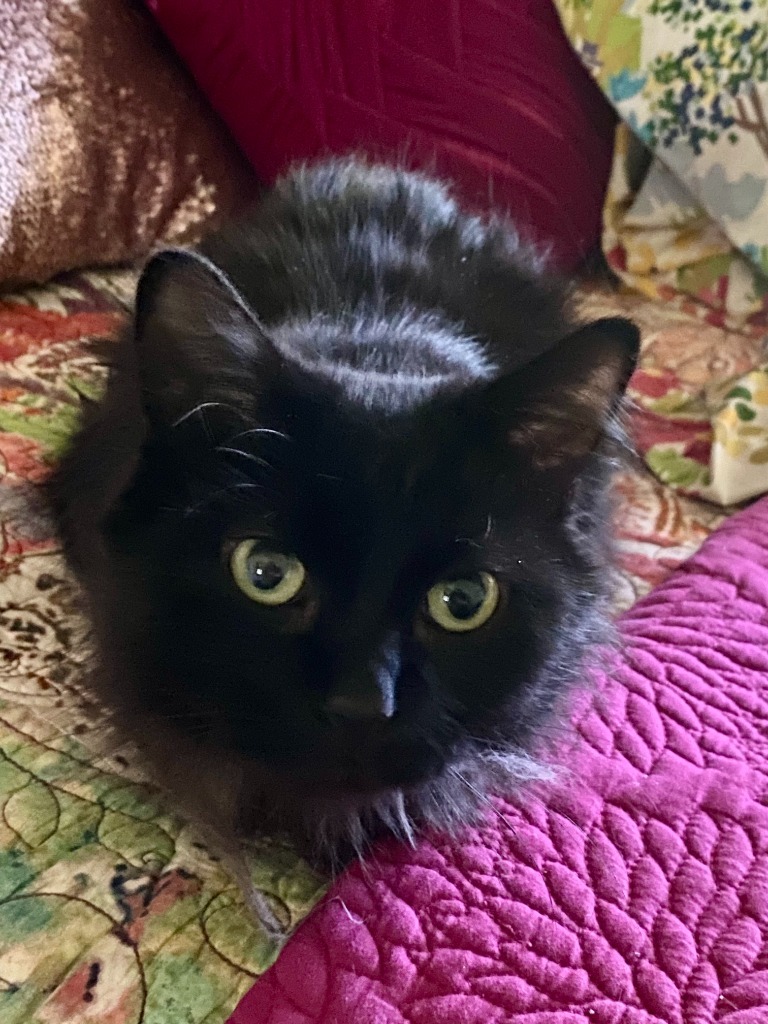 Esme - No Longer Accepting Applications