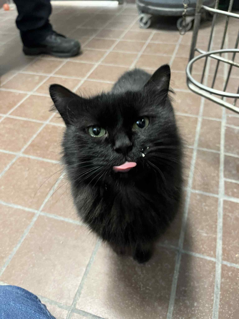 Esme - No Longer Accepting Applications