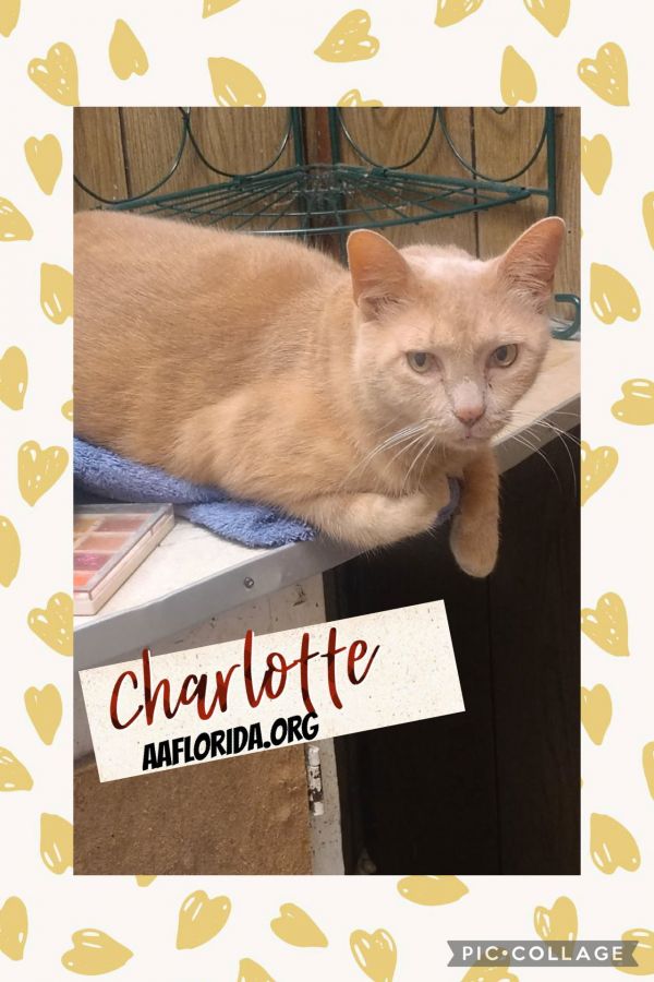 Charlotte