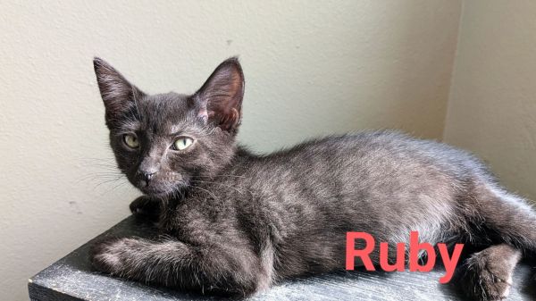 Ruby