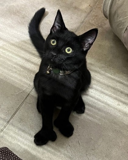 Tom