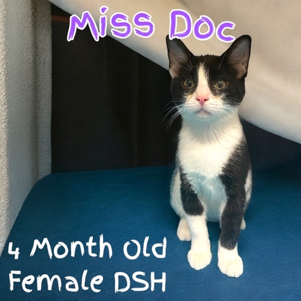 Miss Doc