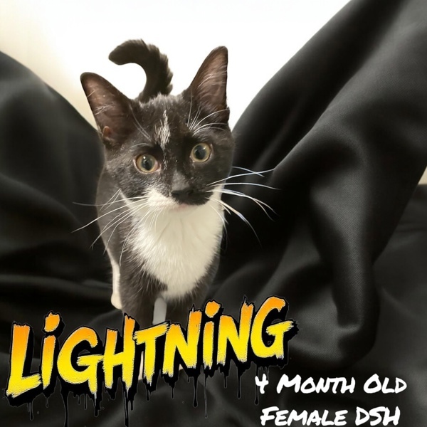 Lightning
