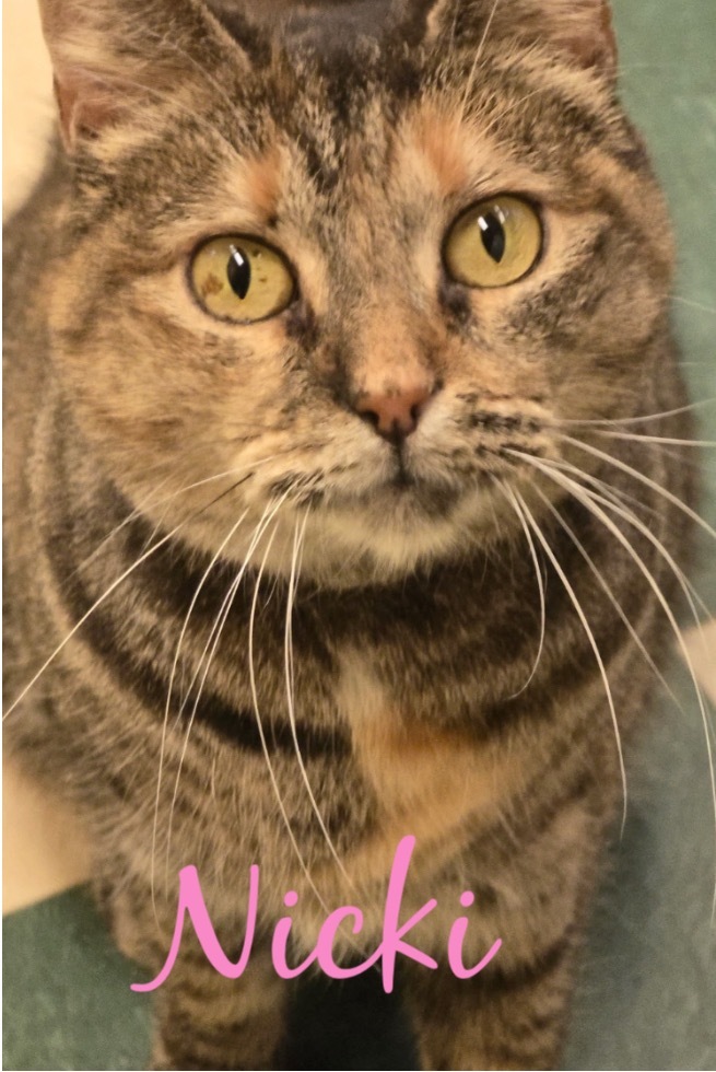 NICKI