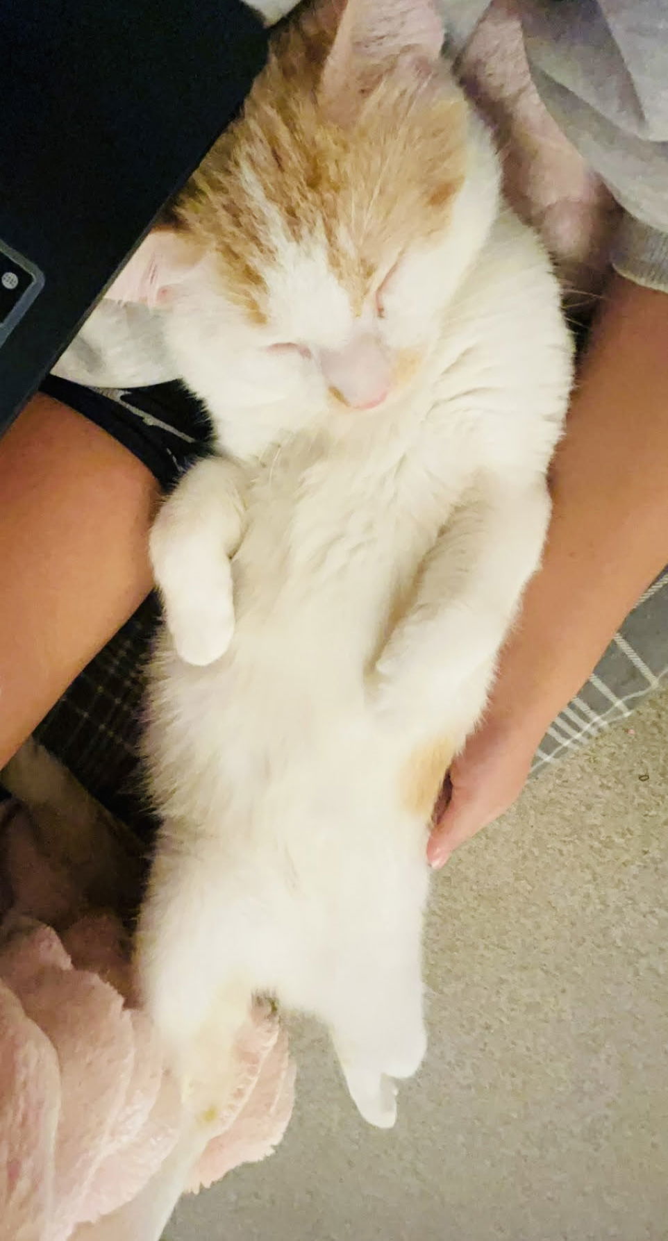 Chester