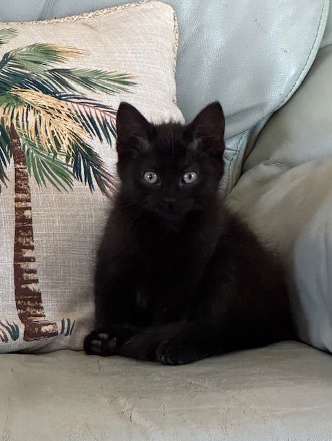 Luna