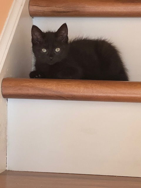Luna