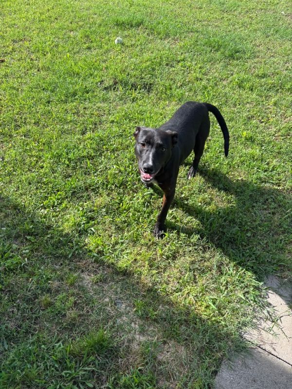 Cooper Urgent Status