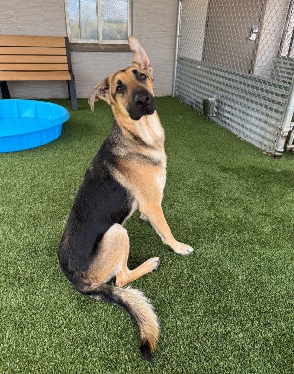 Sherlock thumbnail 4