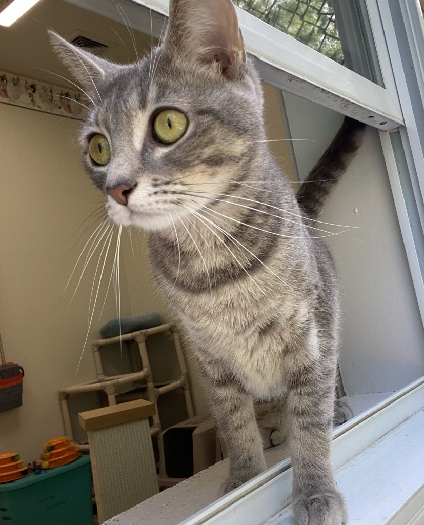 Trix