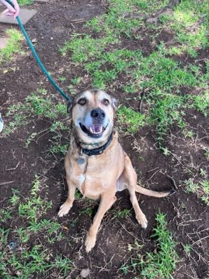 Maggie