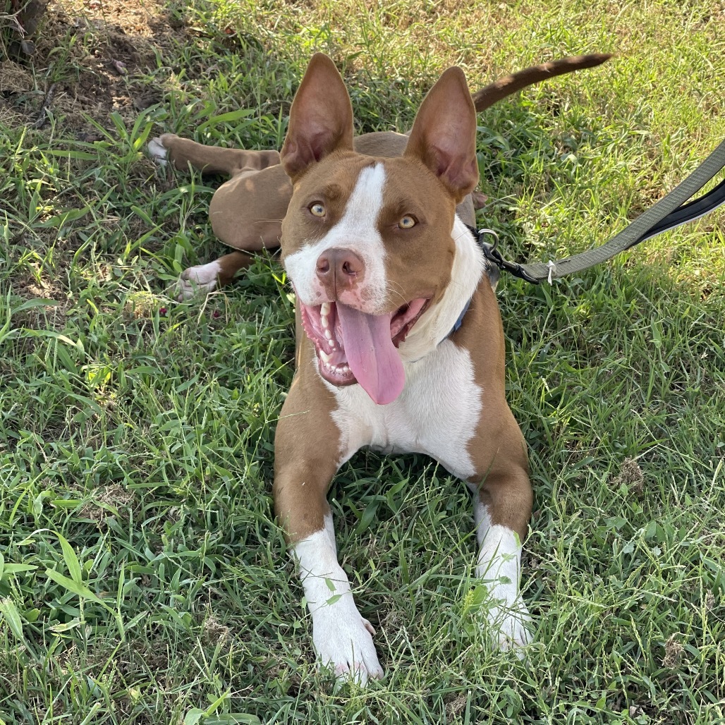 Jax