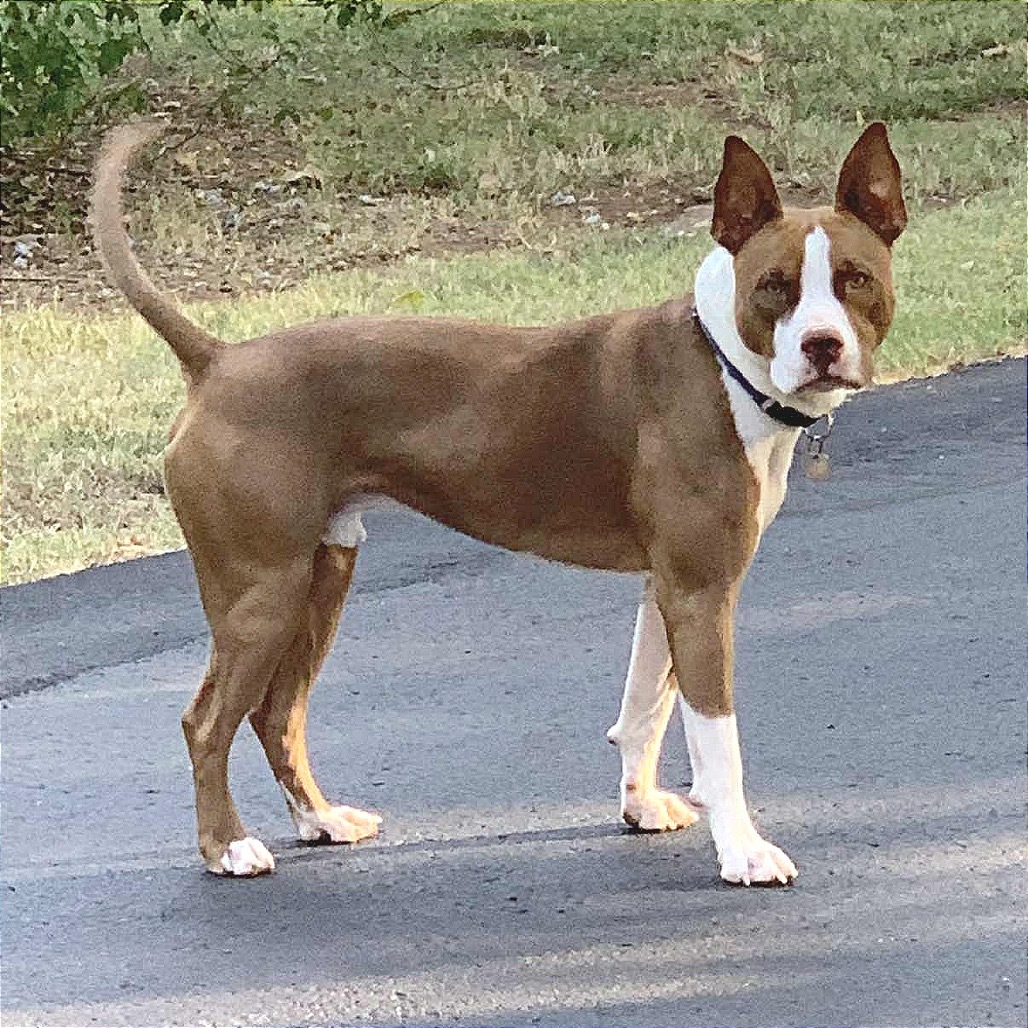 Jax