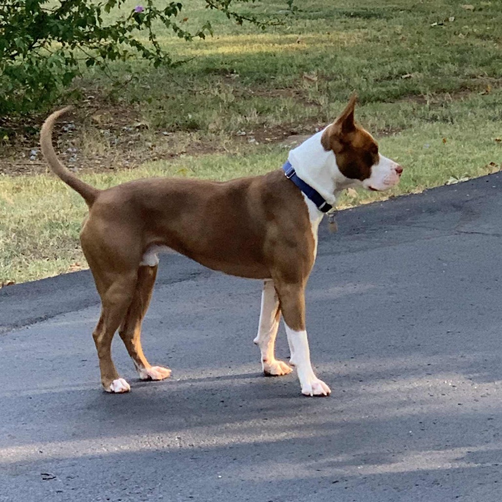 Jax