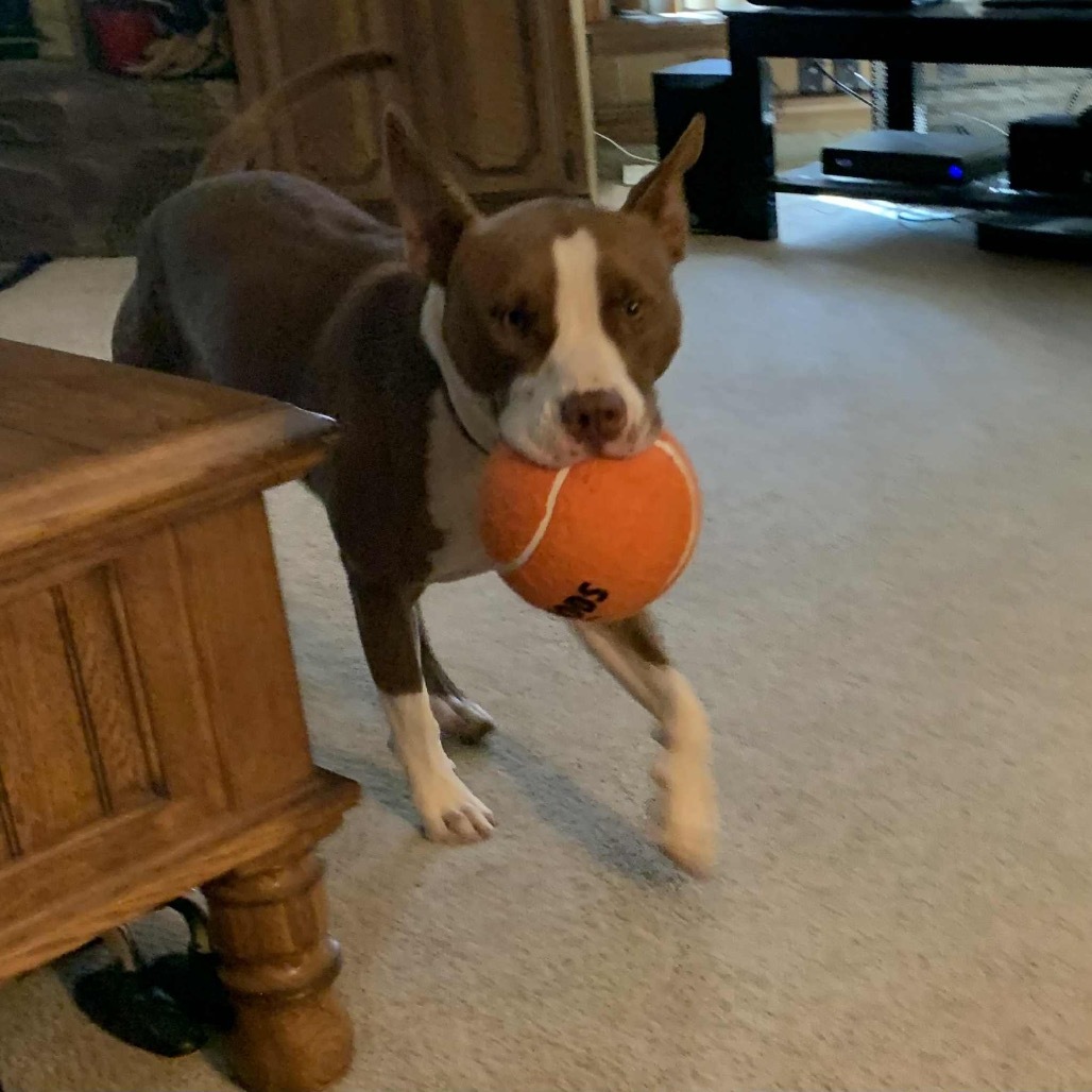 Jax
