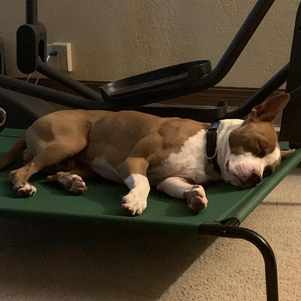 Jax
