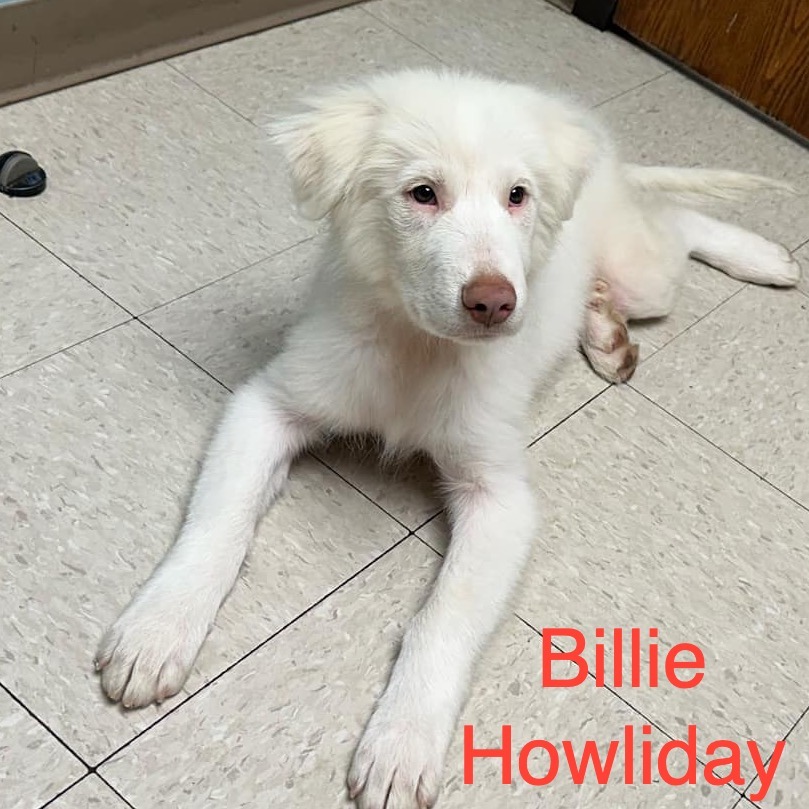 Billie Howliday