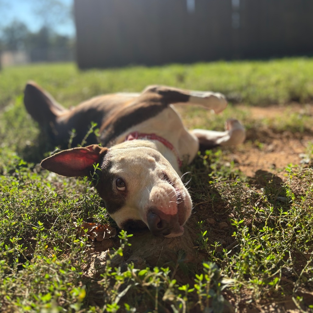 Momma Molly