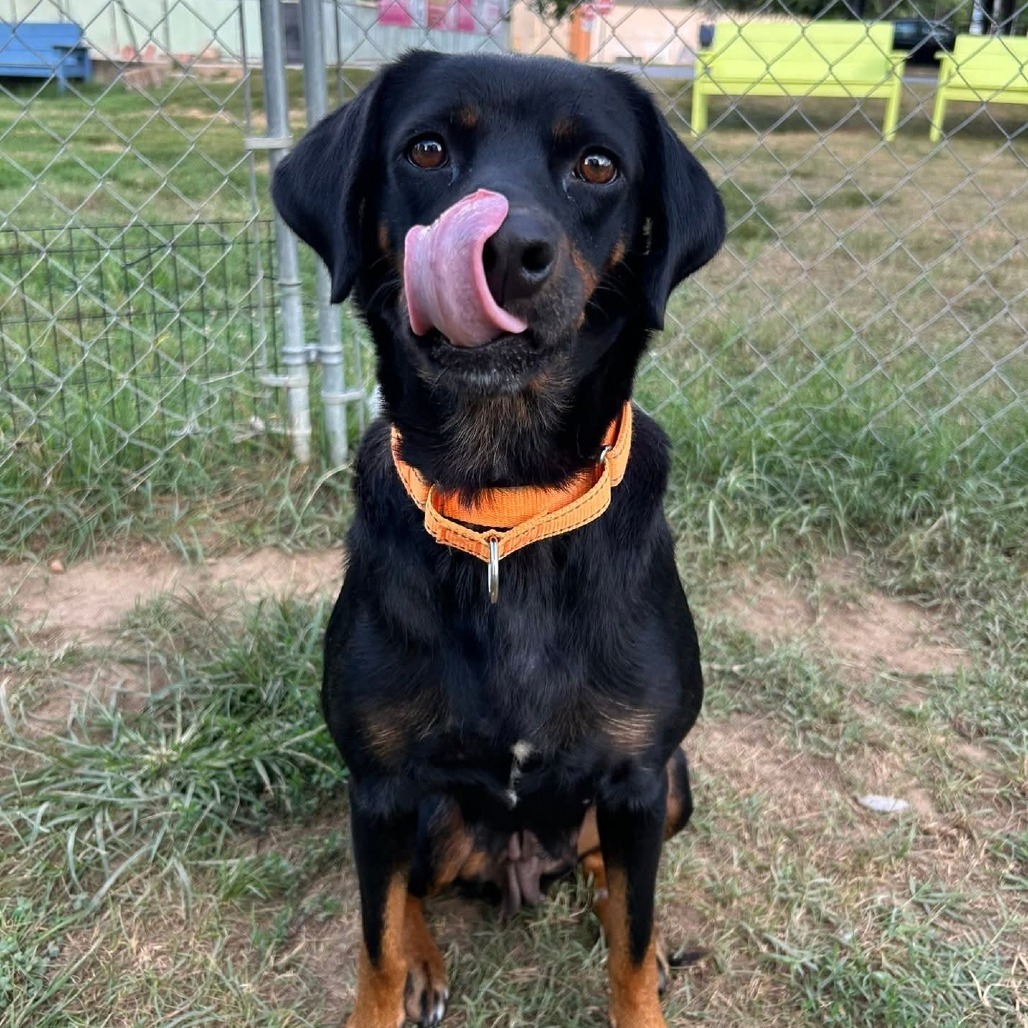 Frisbee