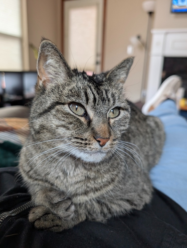 Miss Tilly