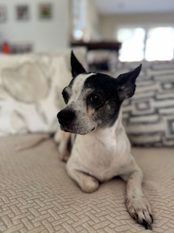 Minnie