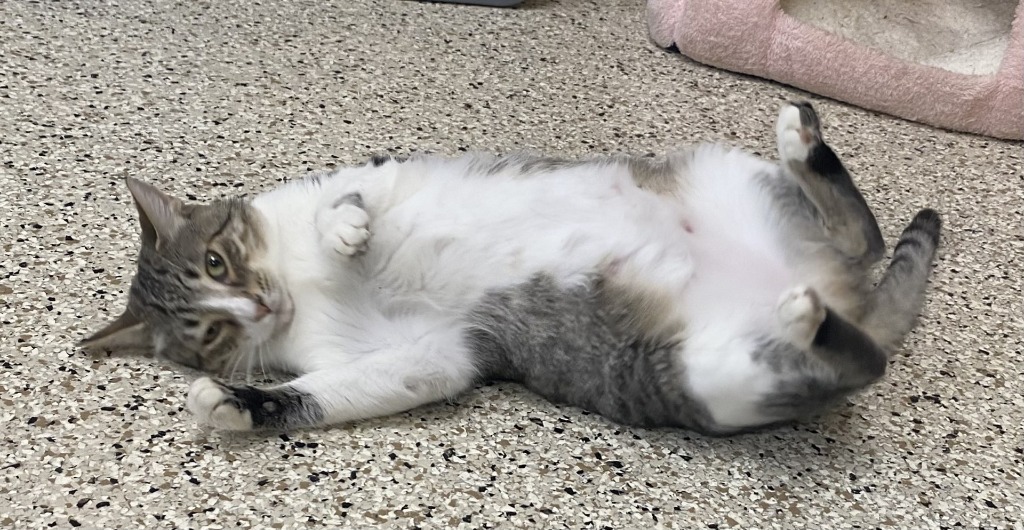 Chloe
