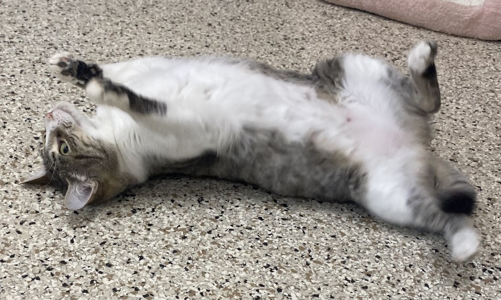 Chloe