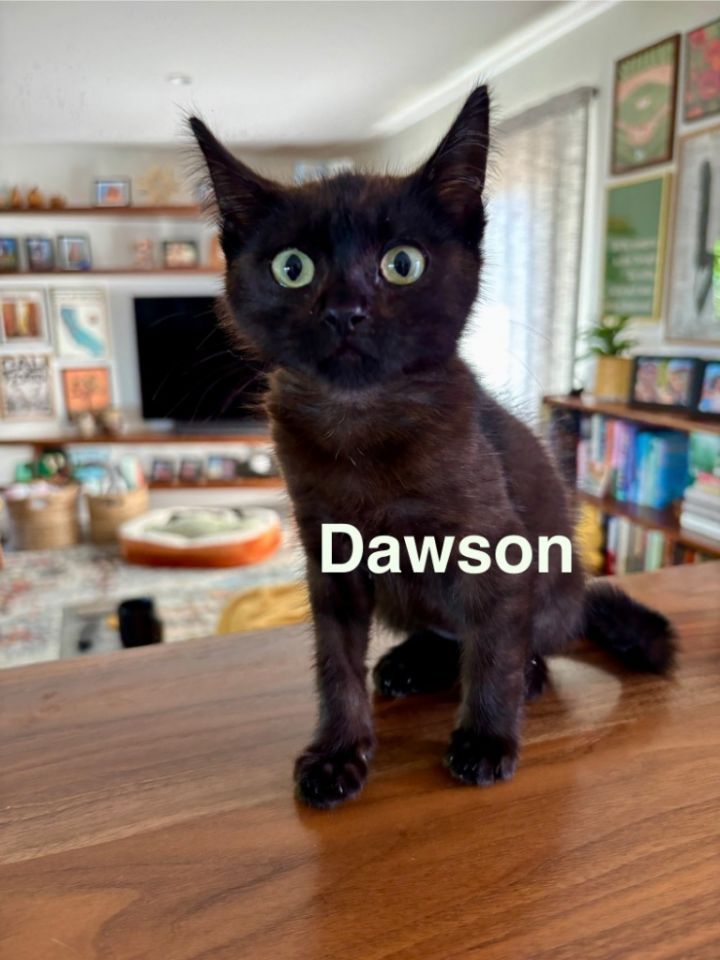 Dawson 1