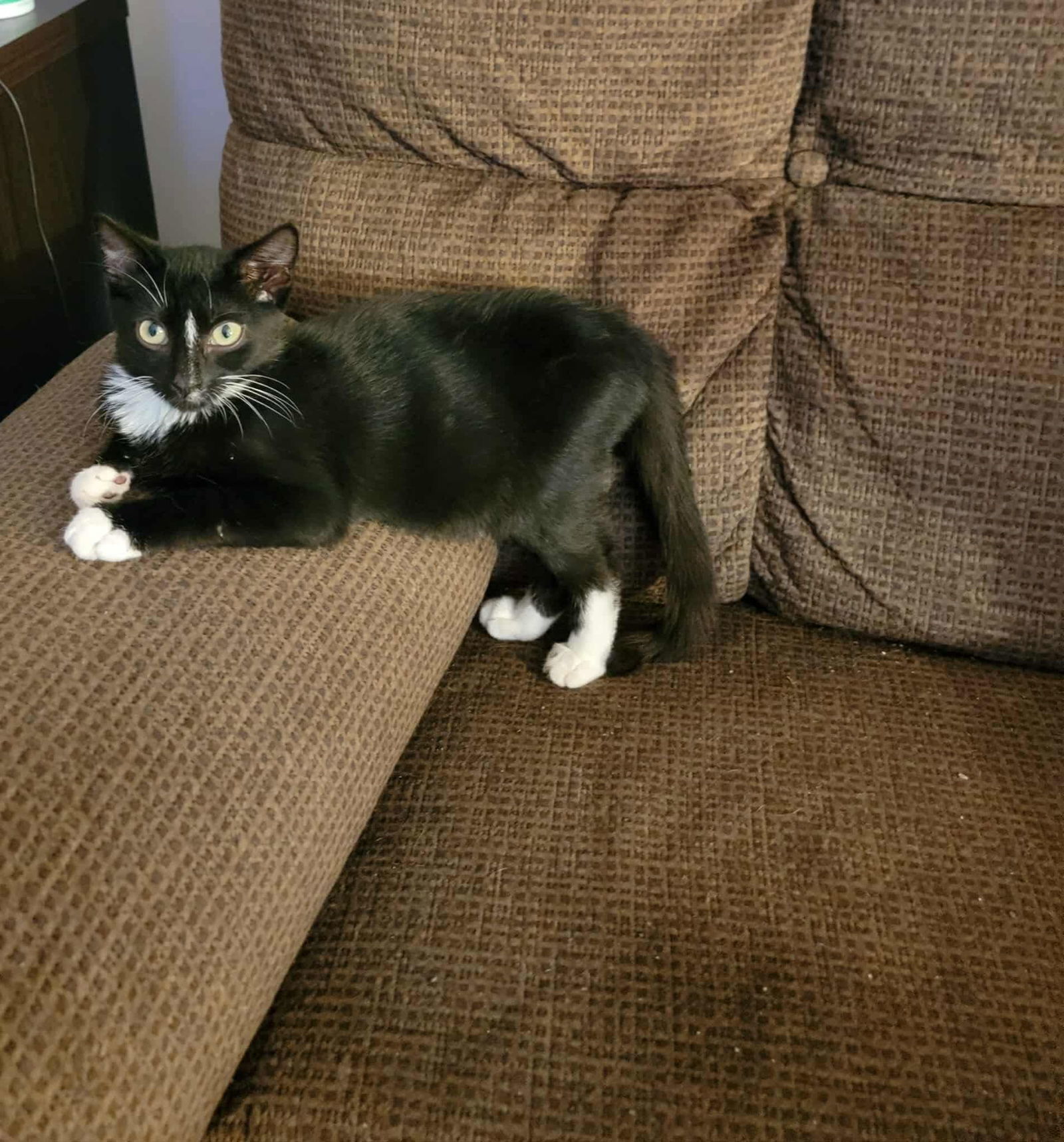 NYX