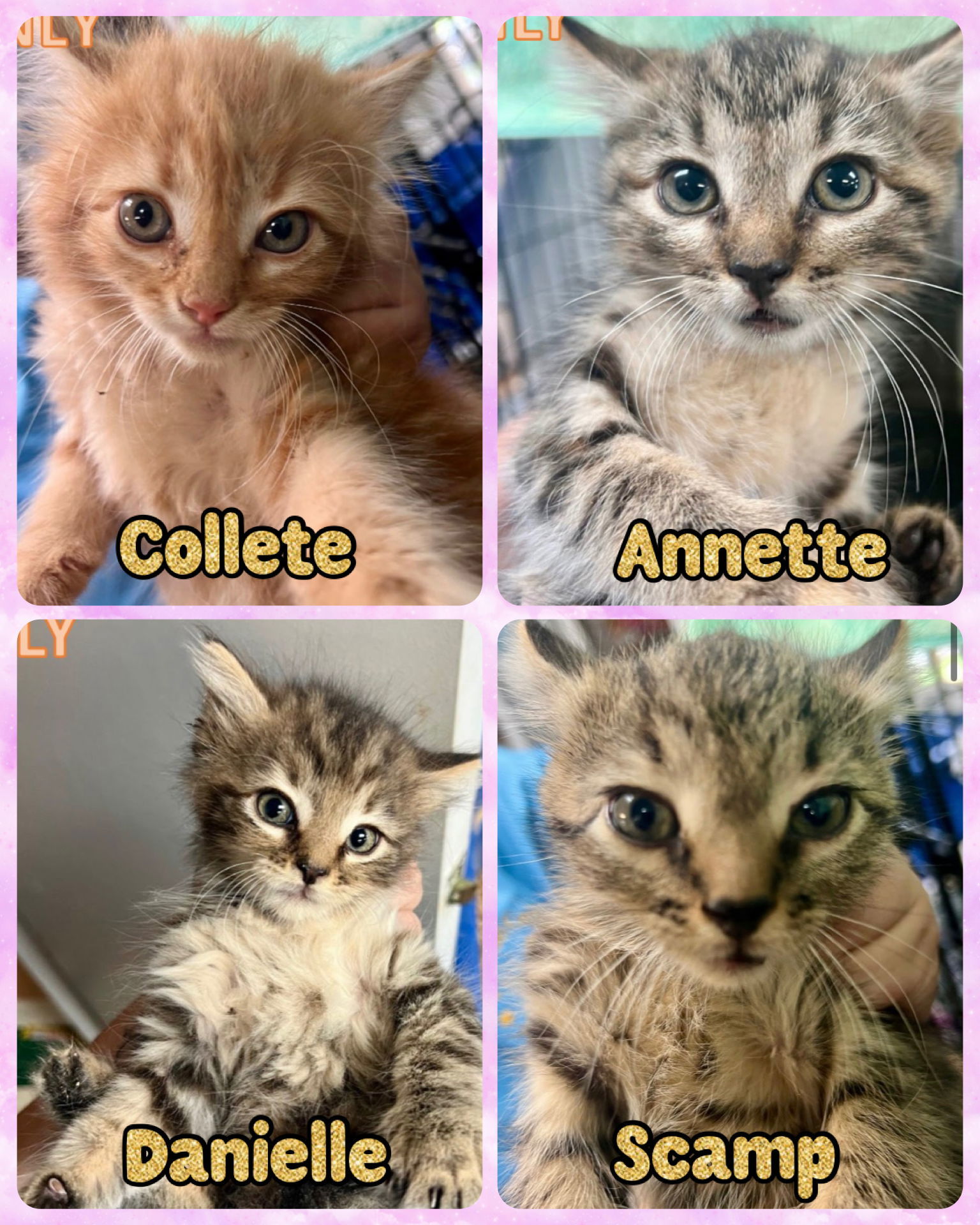 ANNETTE