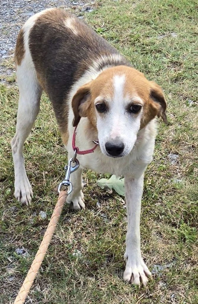 Gladys: Not At shelter (Kendra)