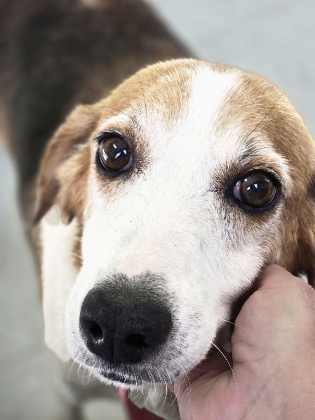 Gladys: Not At shelter (Kendra)