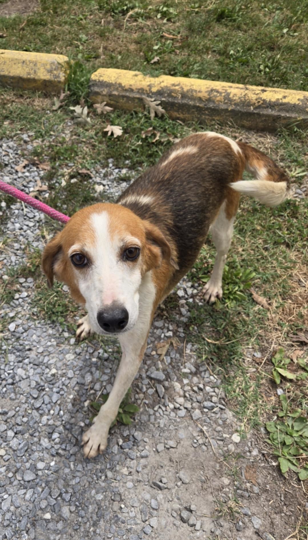 Gladys: Not At shelter (Kendra)