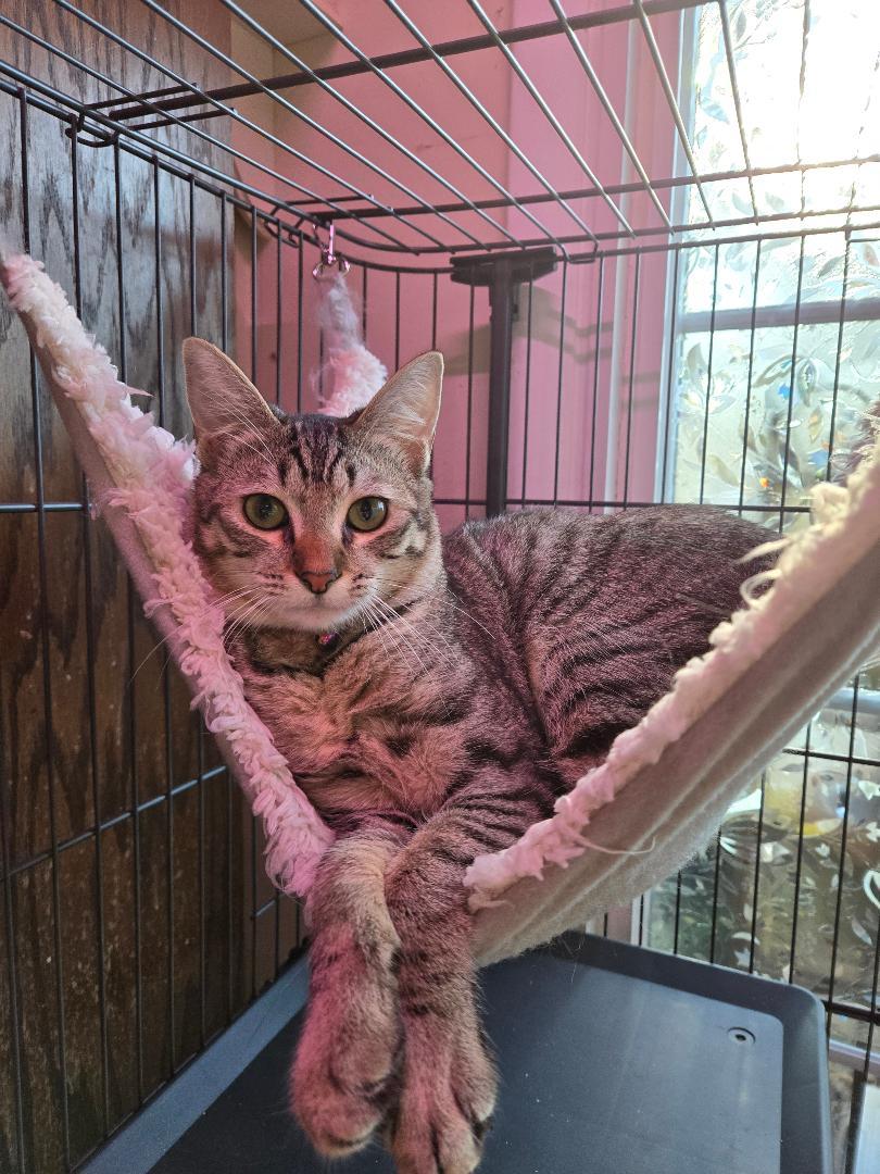 Fiona (and Gertrude)