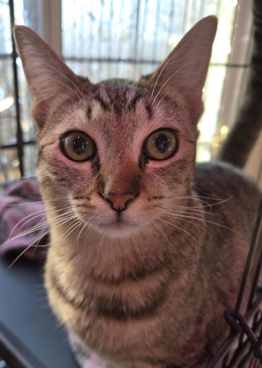 Fiona (and Gertrude)