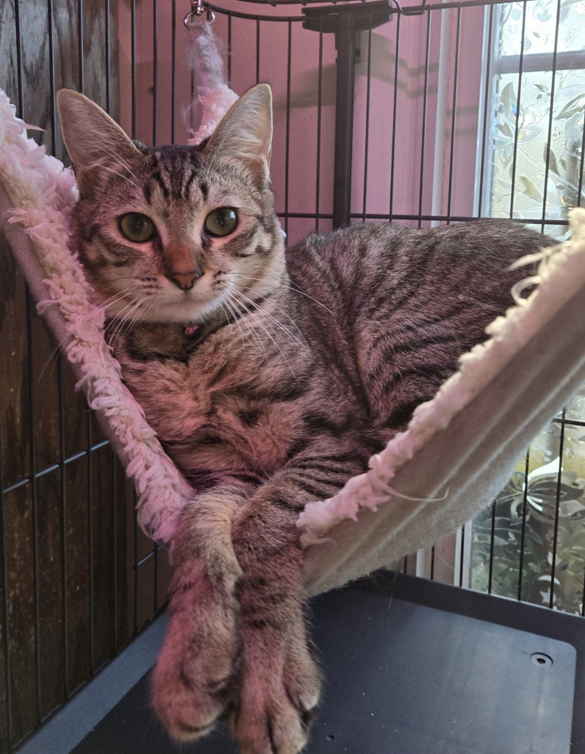 Gertrude (and Fiona)