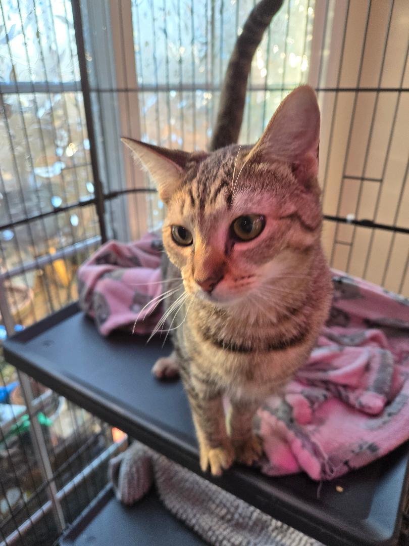 Gertrude (and Fiona)